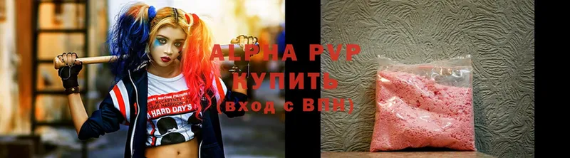 A PVP СК КРИС Искитим